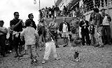 Gallery Gianpaolo Catogno 2003-2006